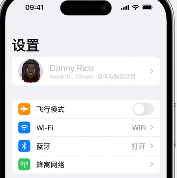 巧家appleID维修服务iPhone设置中Apple ID显示为灰色无法使用 