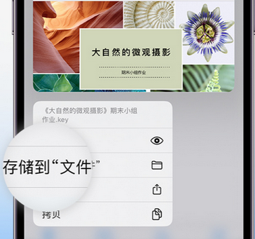 巧家apple维修中心分享iPhone文件应用中存储和找到下载文件