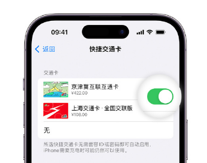 巧家apple维修点分享iPhone上更换Apple Pay快捷交通卡手绘卡面 