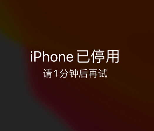 巧家苹果手机维修分享:iPhone 显示“不可用”或“已停用”怎么办？还能保留数据吗？ 