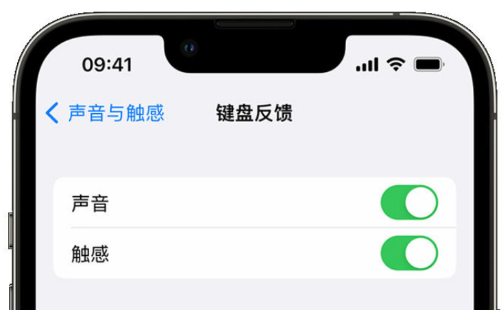 巧家苹果手机维修分享iPhone 14触感键盘使用方法 