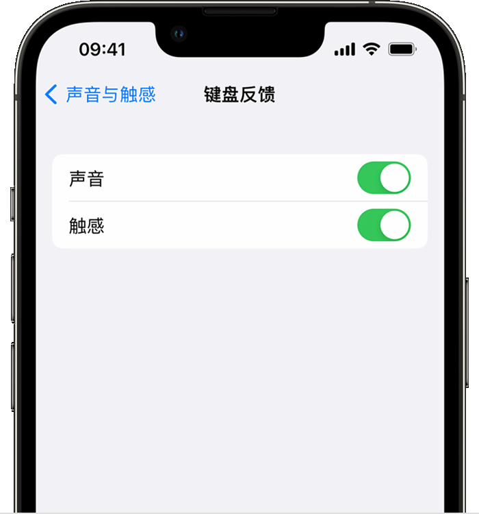 巧家苹果14维修店分享如何在 iPhone 14 机型中使用触感键盘 