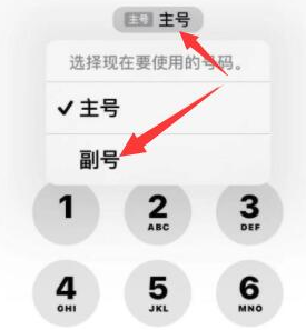 巧家苹果14维修店分享iPhone 14 Pro Max使用副卡打电话的方法 