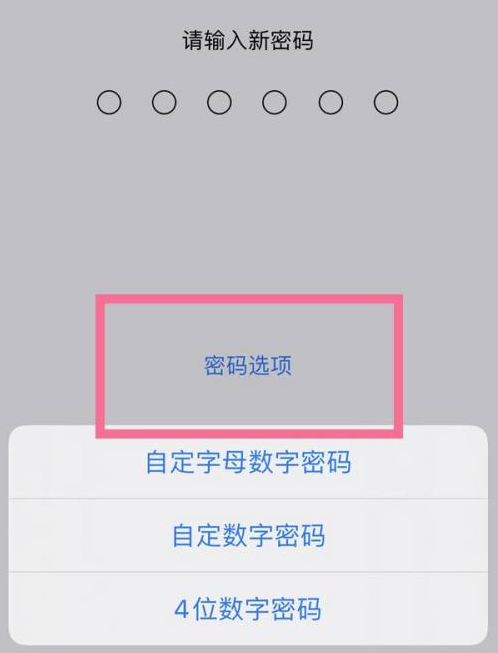 巧家苹果14维修分享iPhone 14plus设置密码的方法 