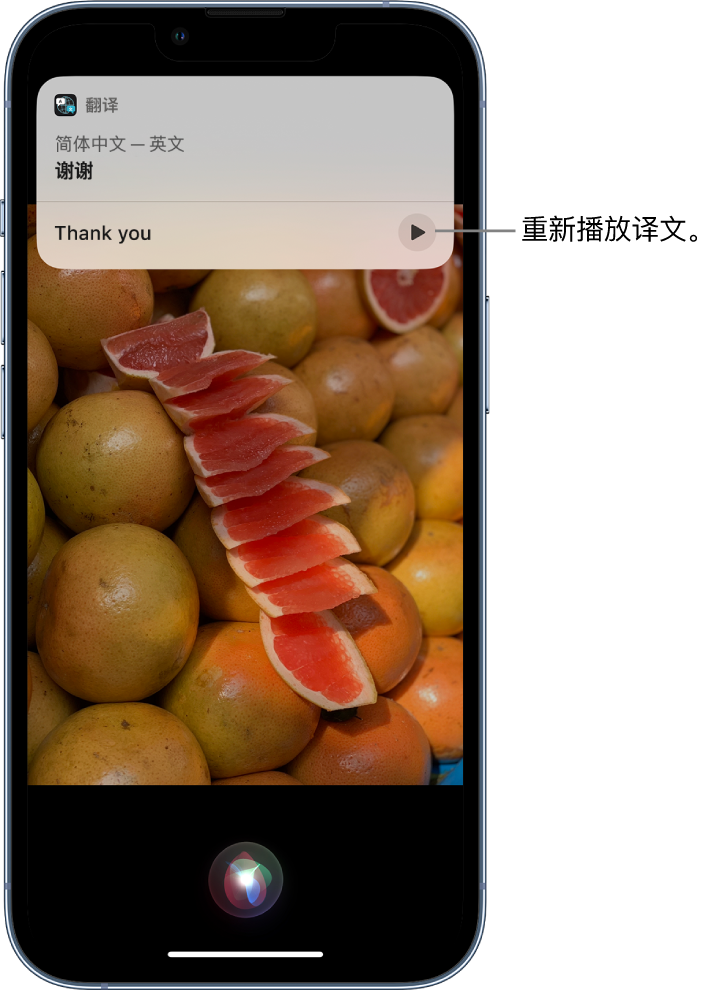 巧家苹果14维修分享 iPhone 14 机型中使用 Siri：了解 Siri 能帮你做什么 