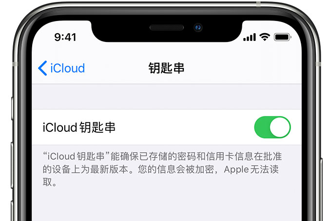 巧家苹果手机维修分享在 iPhone 上开启 iCloud 钥匙串之后会储存哪些信息 