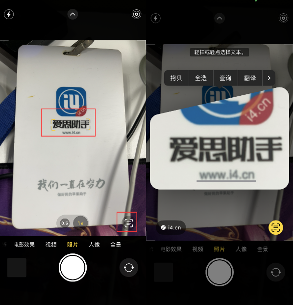 巧家苹果手机维修分享升级iOS 16后如何通过相机翻译文本 