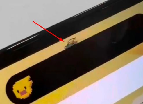 巧家苹果14维修分享iPhone 14 Pro Max灵动岛怎么养宠物 
