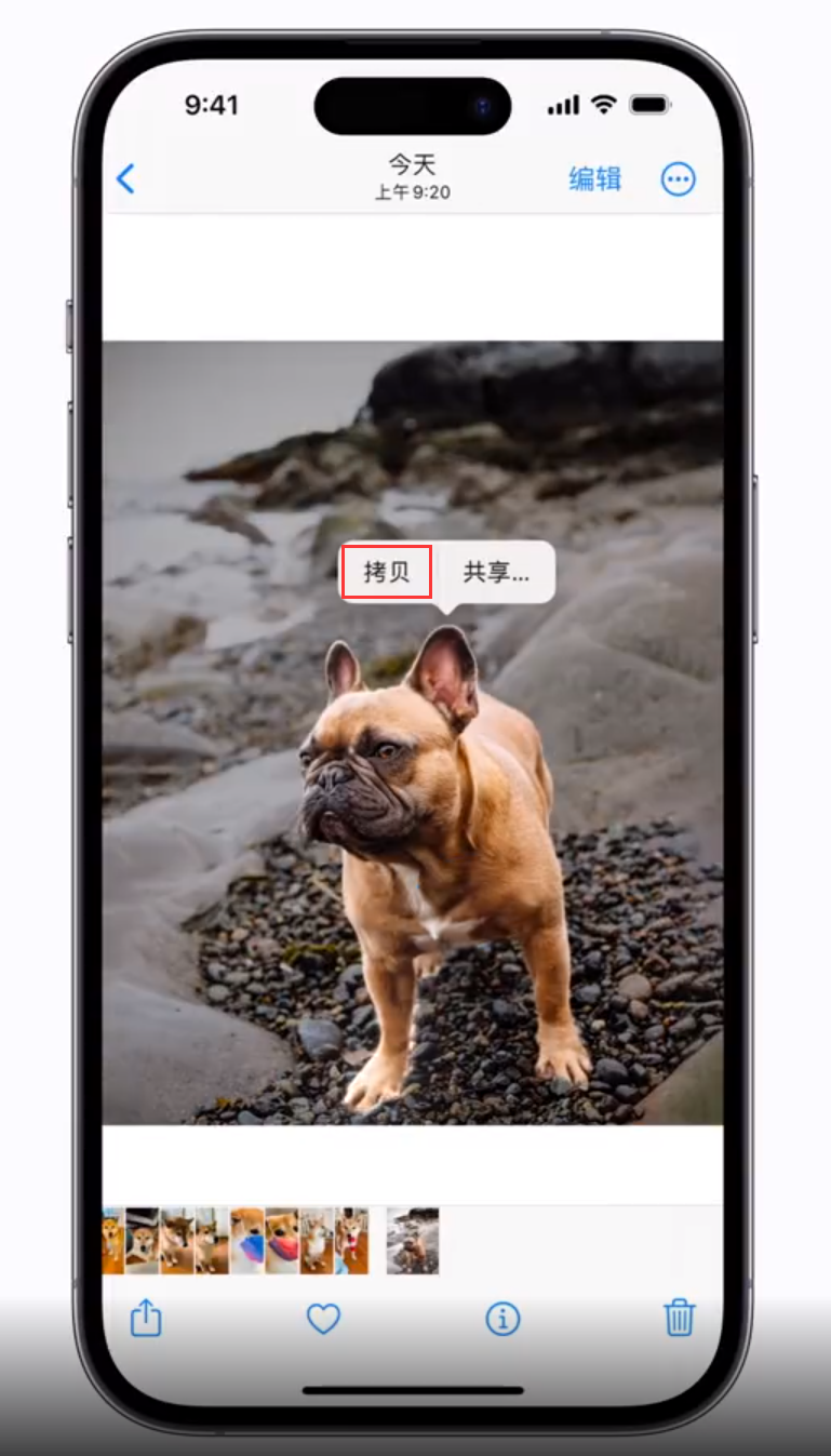 巧家苹果手机维修分享 iOS 16 自带一键抠图功能 