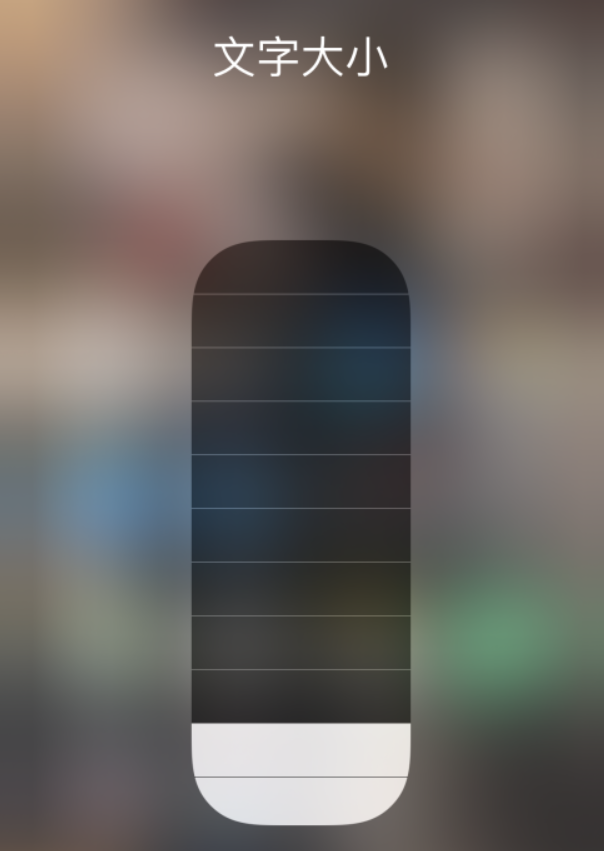 巧家苹果手机维修分享小技巧：在 iPhone 控制中心快速调节字体大小 