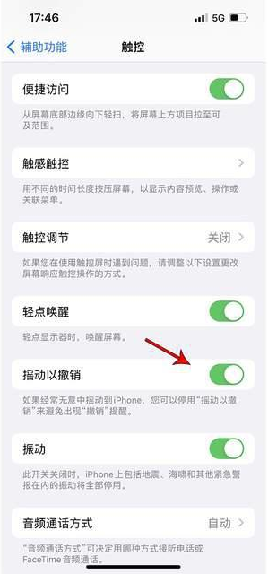 巧家苹果手机维修分享iPhone手机如何设置摇一摇删除文字 