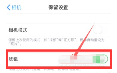 巧家苹果13维修分享iPhone13拍照有绿点是怎么回事 