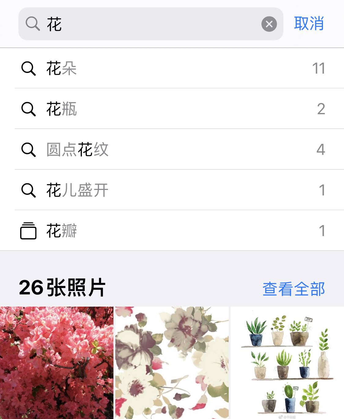 巧家苹果手机维修分享iPhone 小技巧 