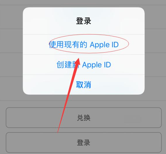 巧家苹果手机维修分享两台iPhone设备可以同时登录一个Apple ID吗 