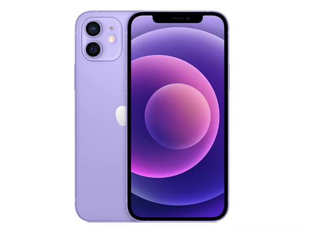 巧家苹果手机维修分享现阶段要不要入手紫色版iPhone12 