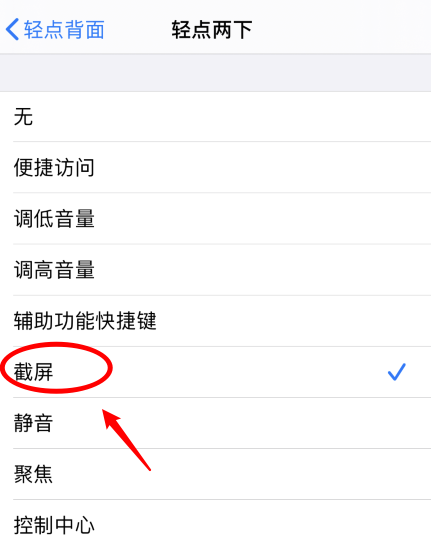 巧家苹果手机维修分享iPhone12如何启用双击截屏 