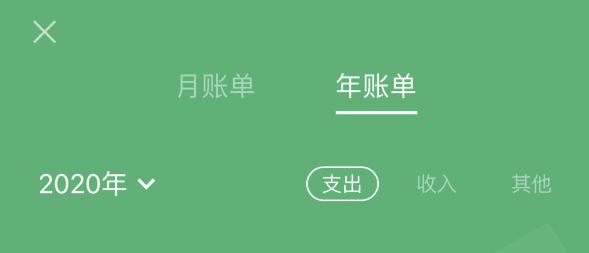 巧家苹果手机维修分享如何在 iPhone 上查看支付宝和微信年支出账单 