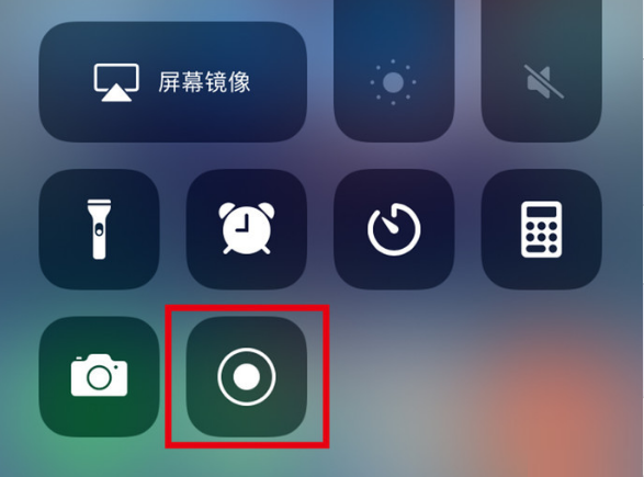 巧家苹果手机维修分享iPhone12录屏方法教程 